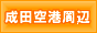 ���c��`���ԏ�NewUSA�p�[�L���O